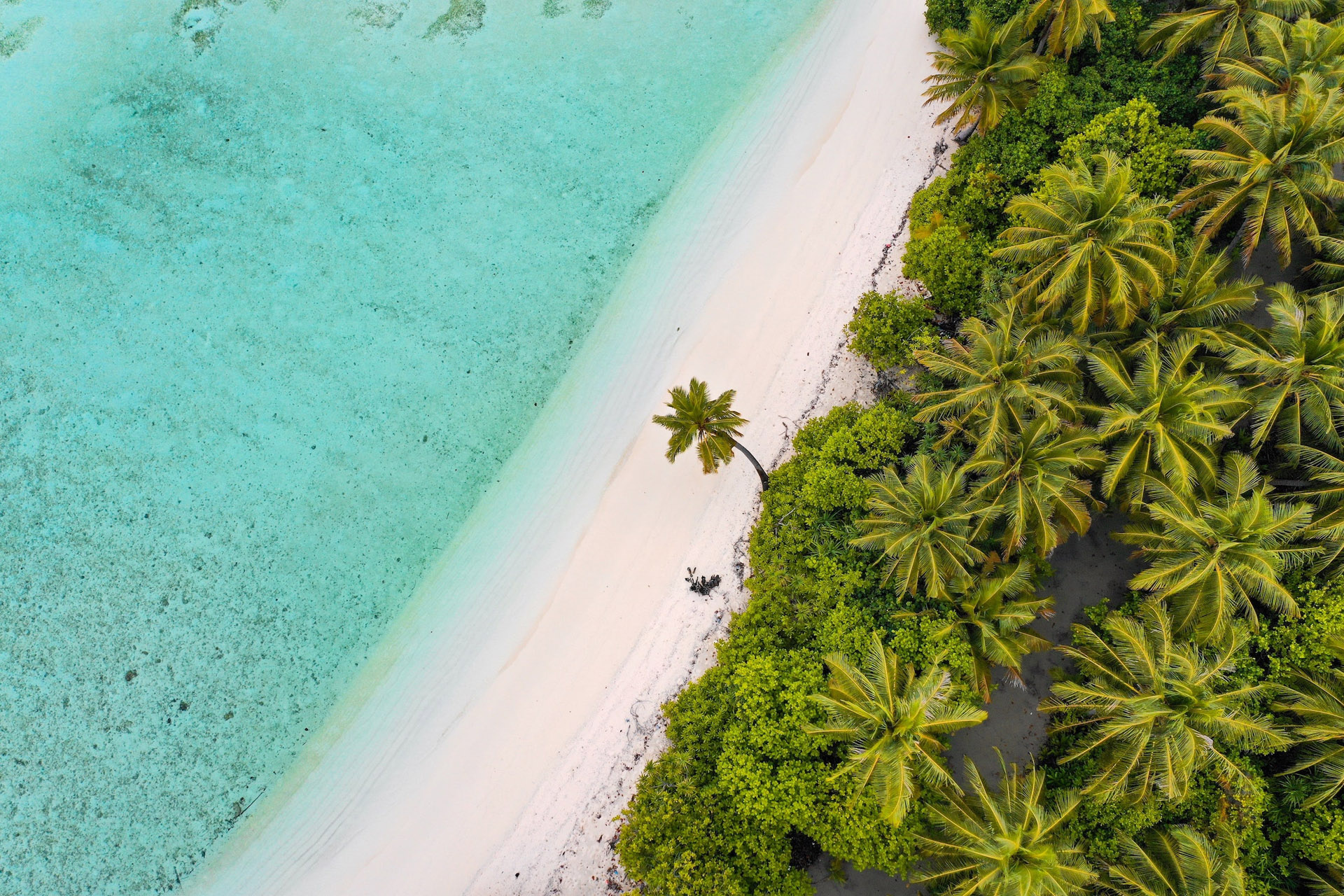 the maldives beach