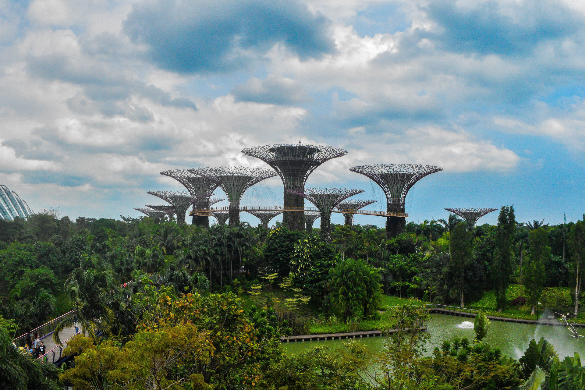 supertrees in gardens by the bay, Singapore