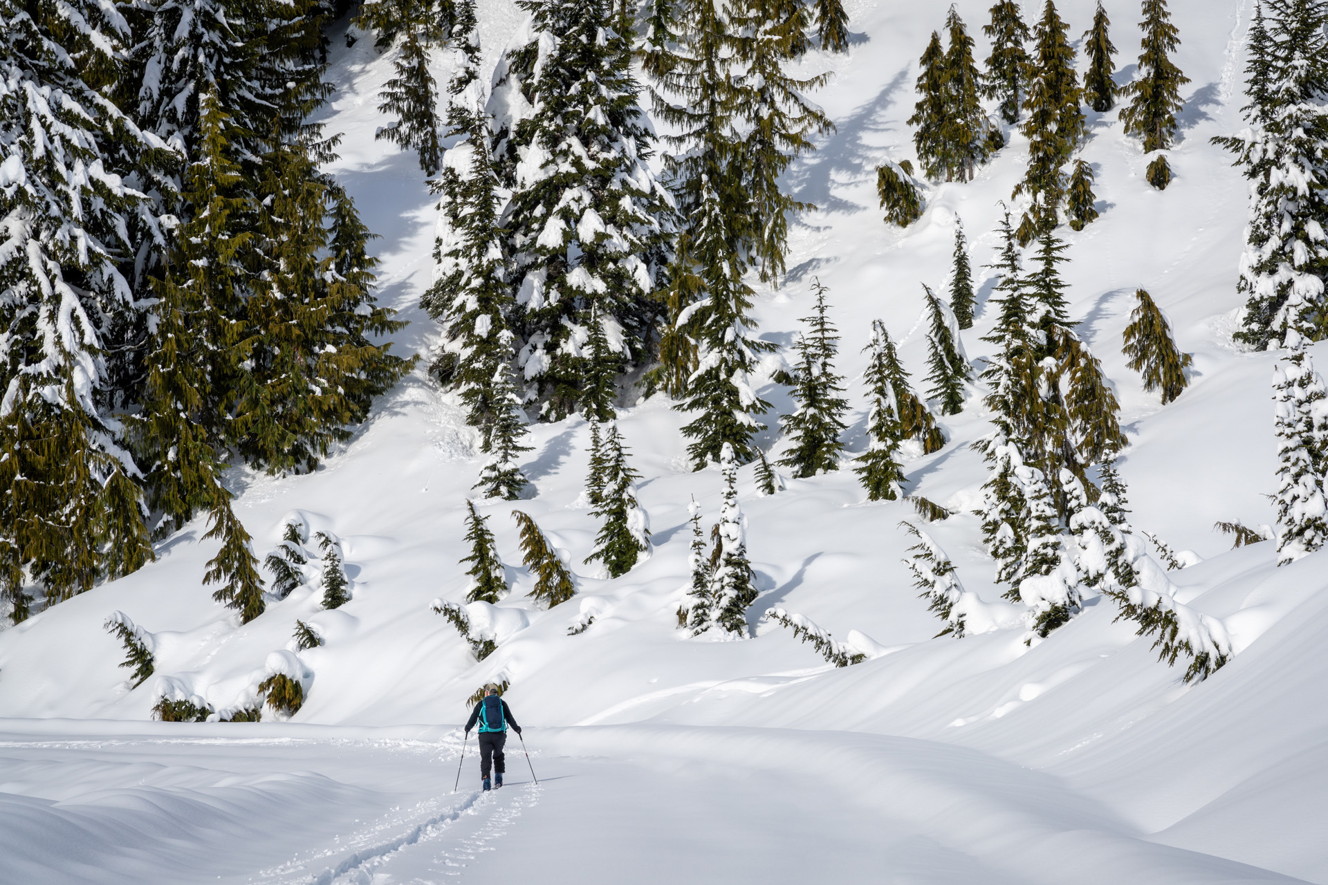 a man skiing in thick snow with trees