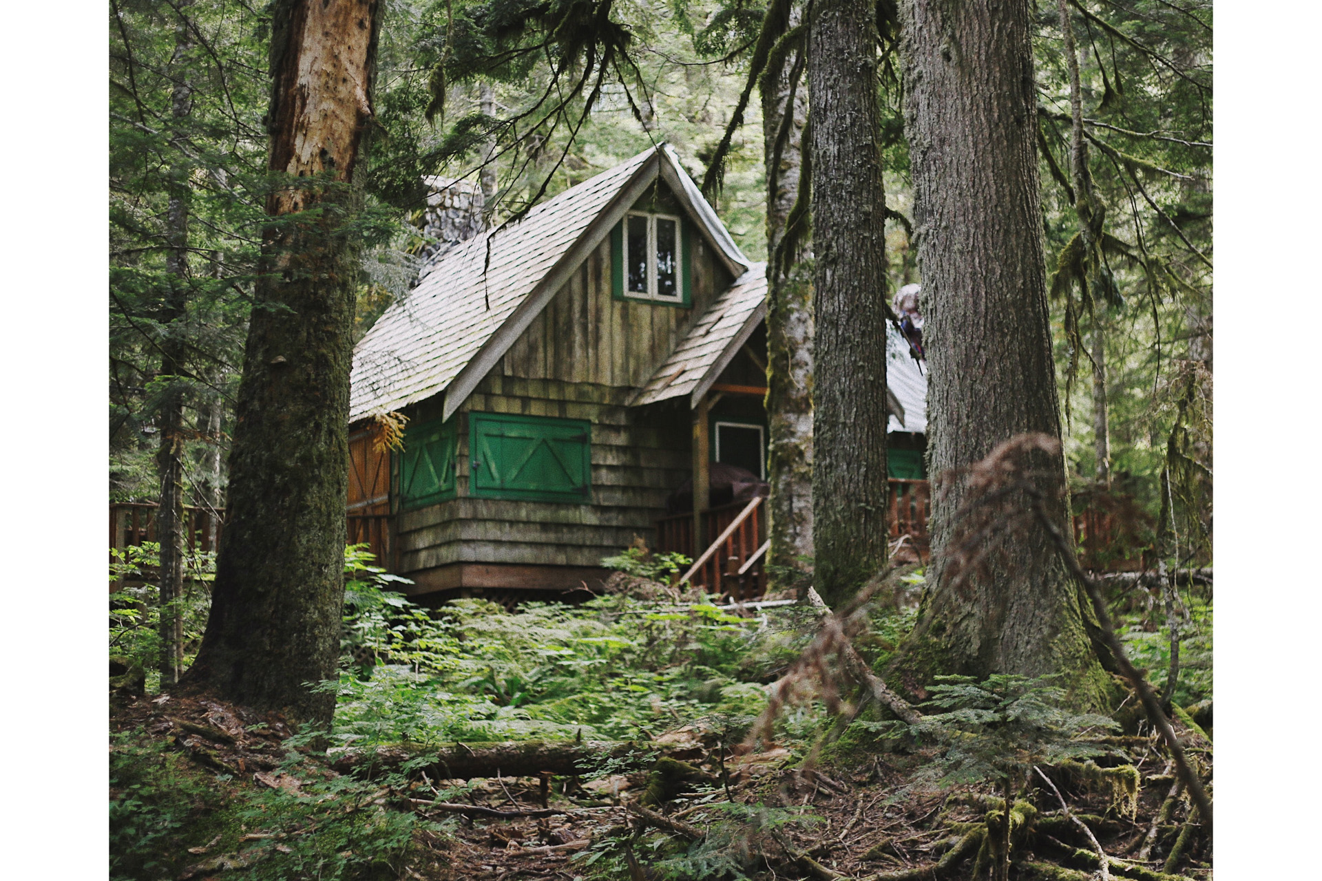 a cabin in the woods