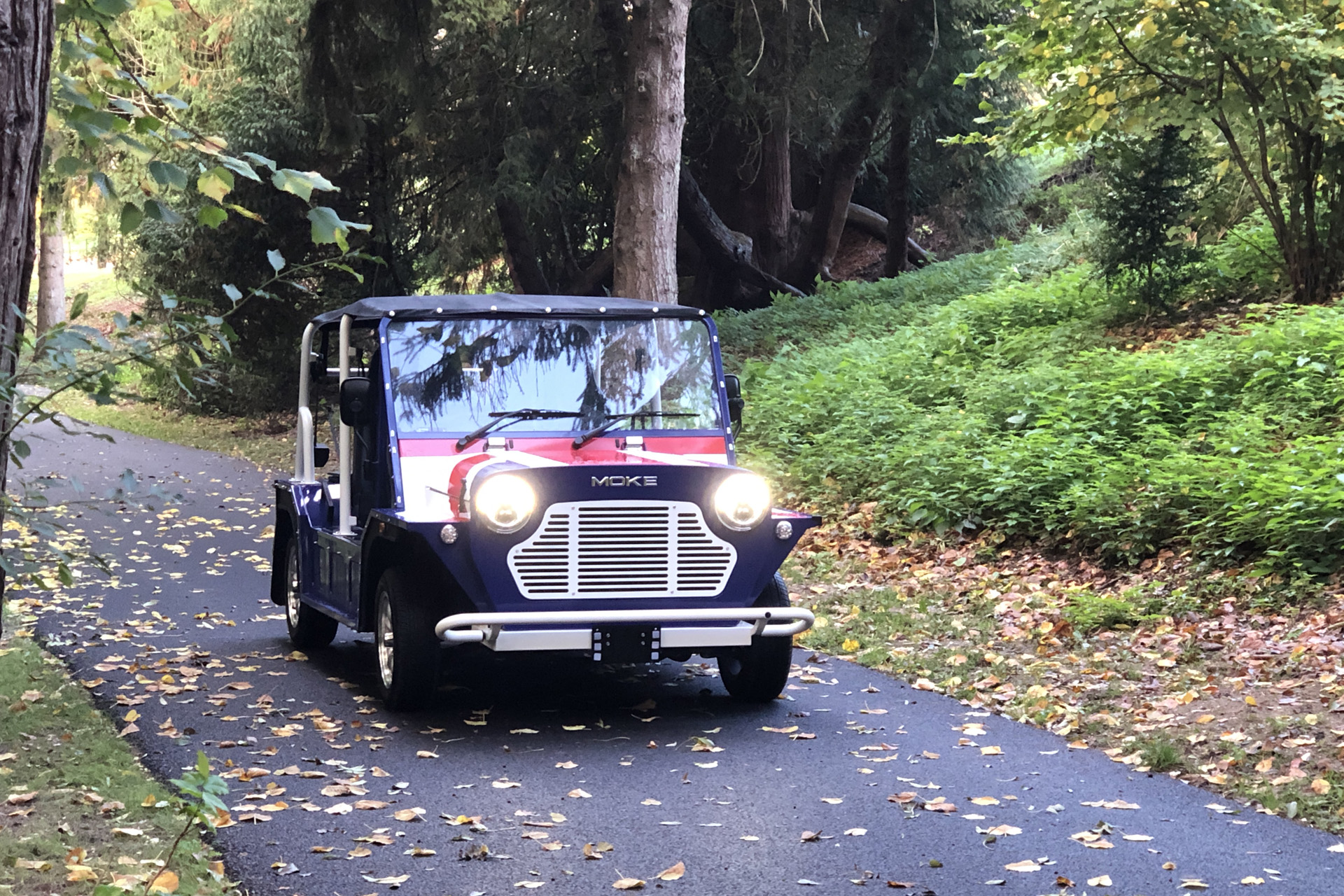 the electric moke car on a leafy road