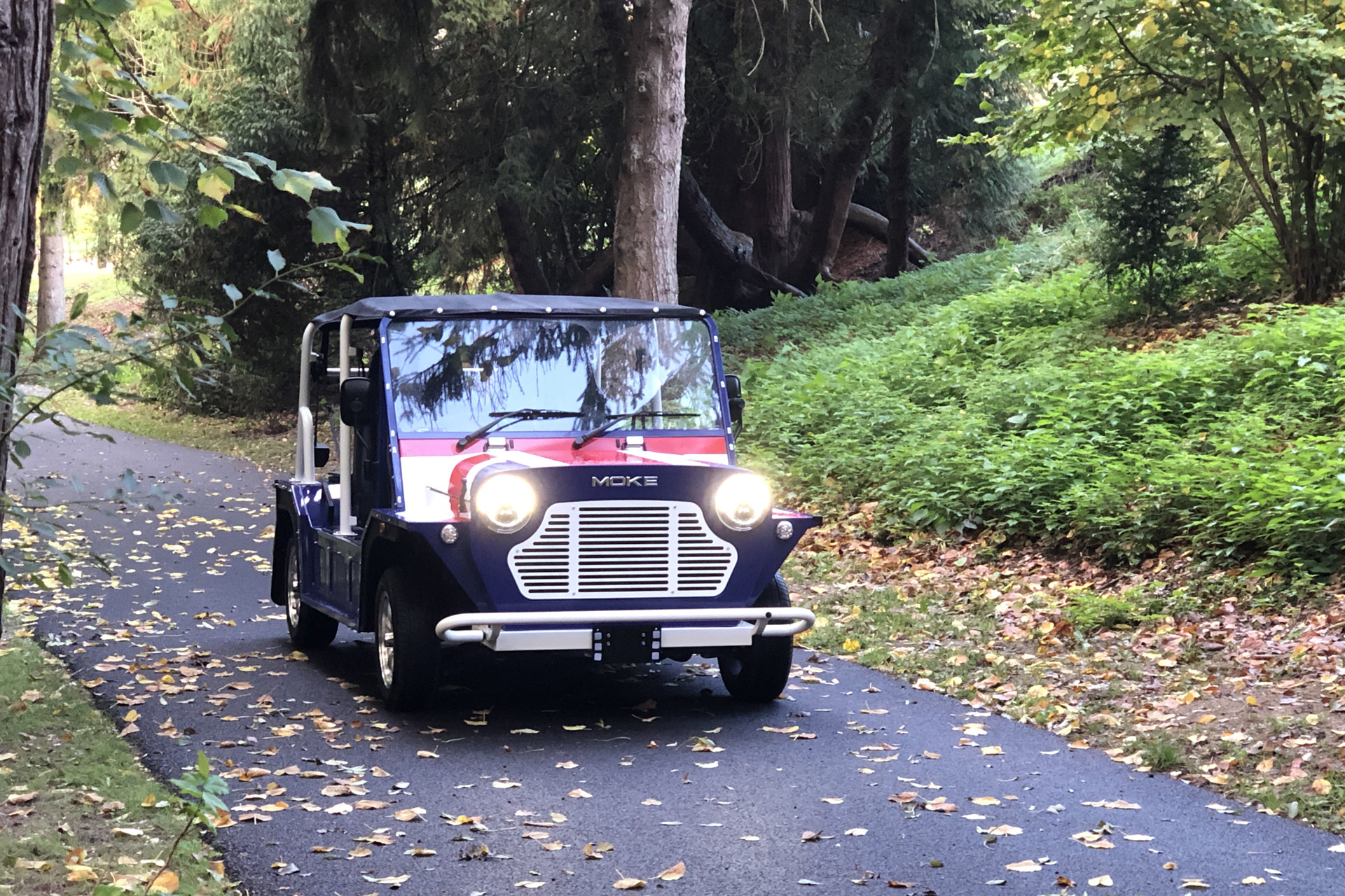 Electric Moke — The Green Lane