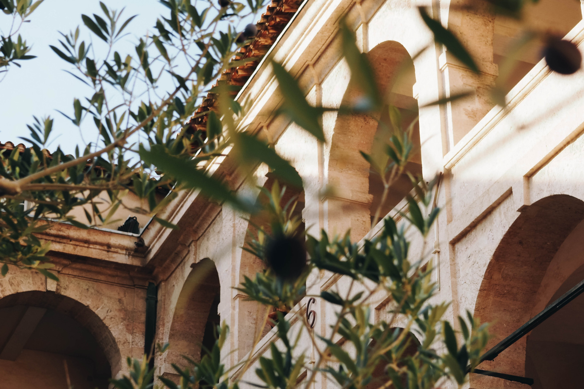 View of building with leaves at the front unfocused