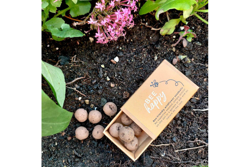 Box od seed balls on soil