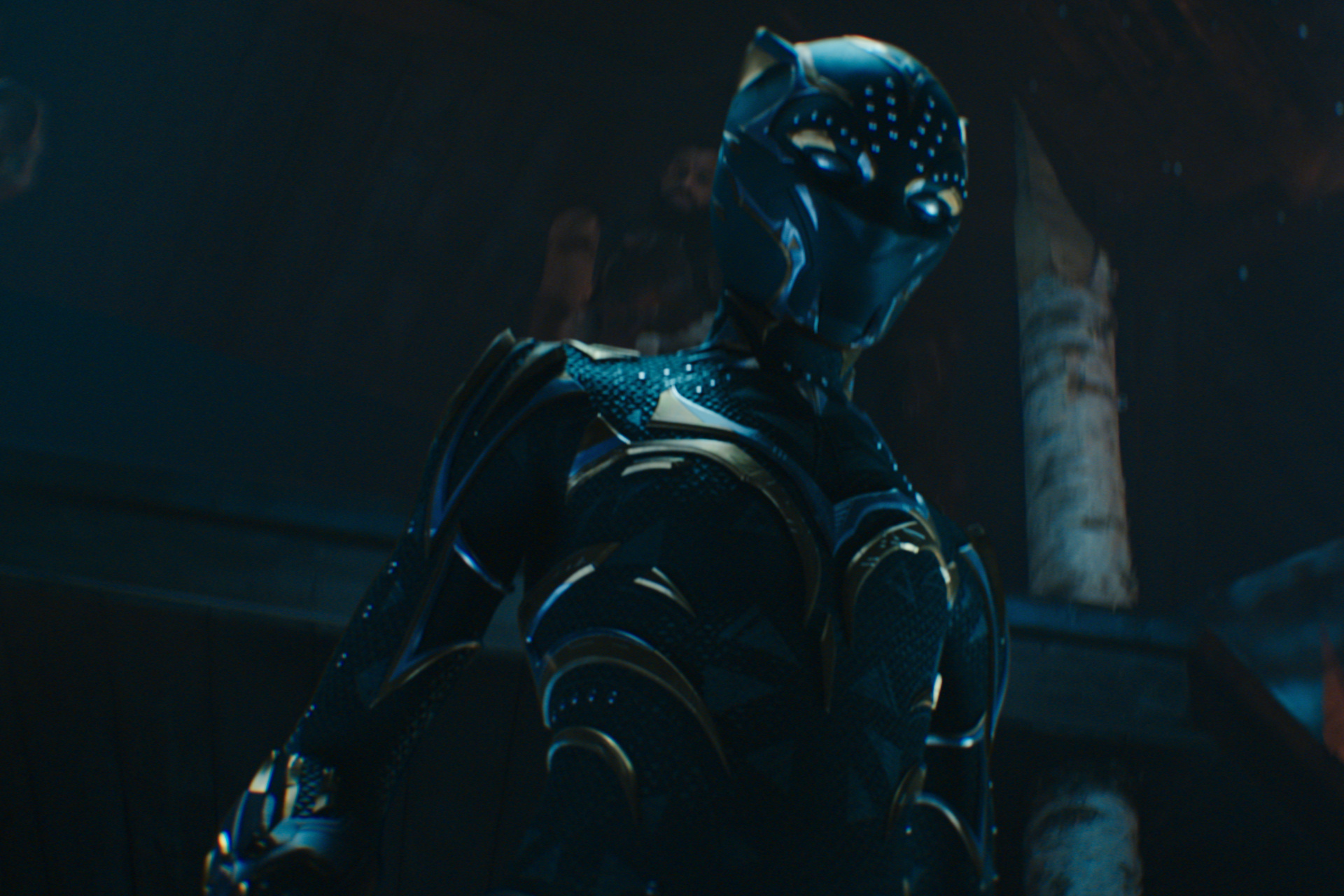 Black Panther hero