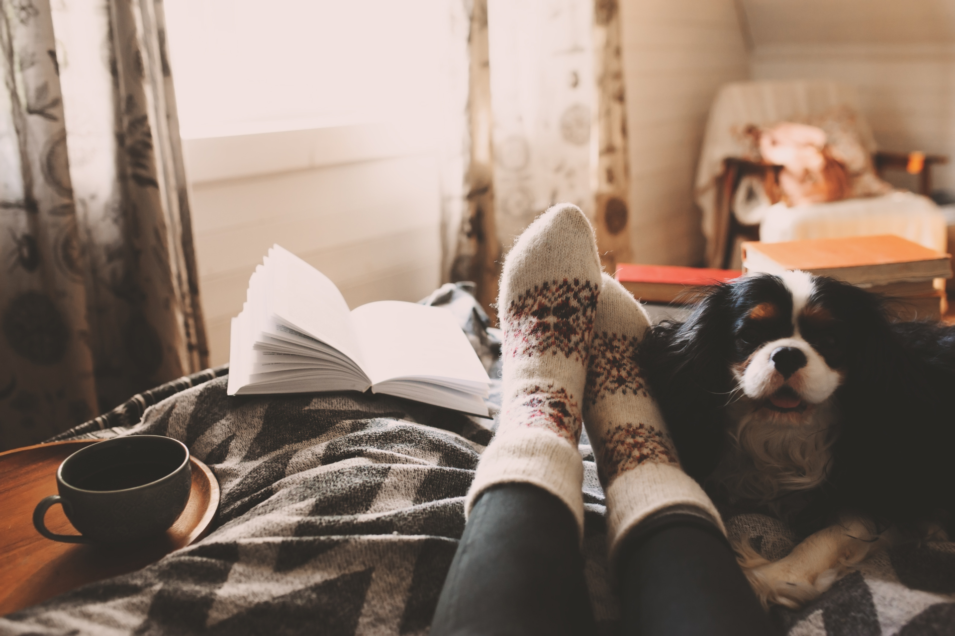 Someone with feet up on the bed with a dog and book next to their legs