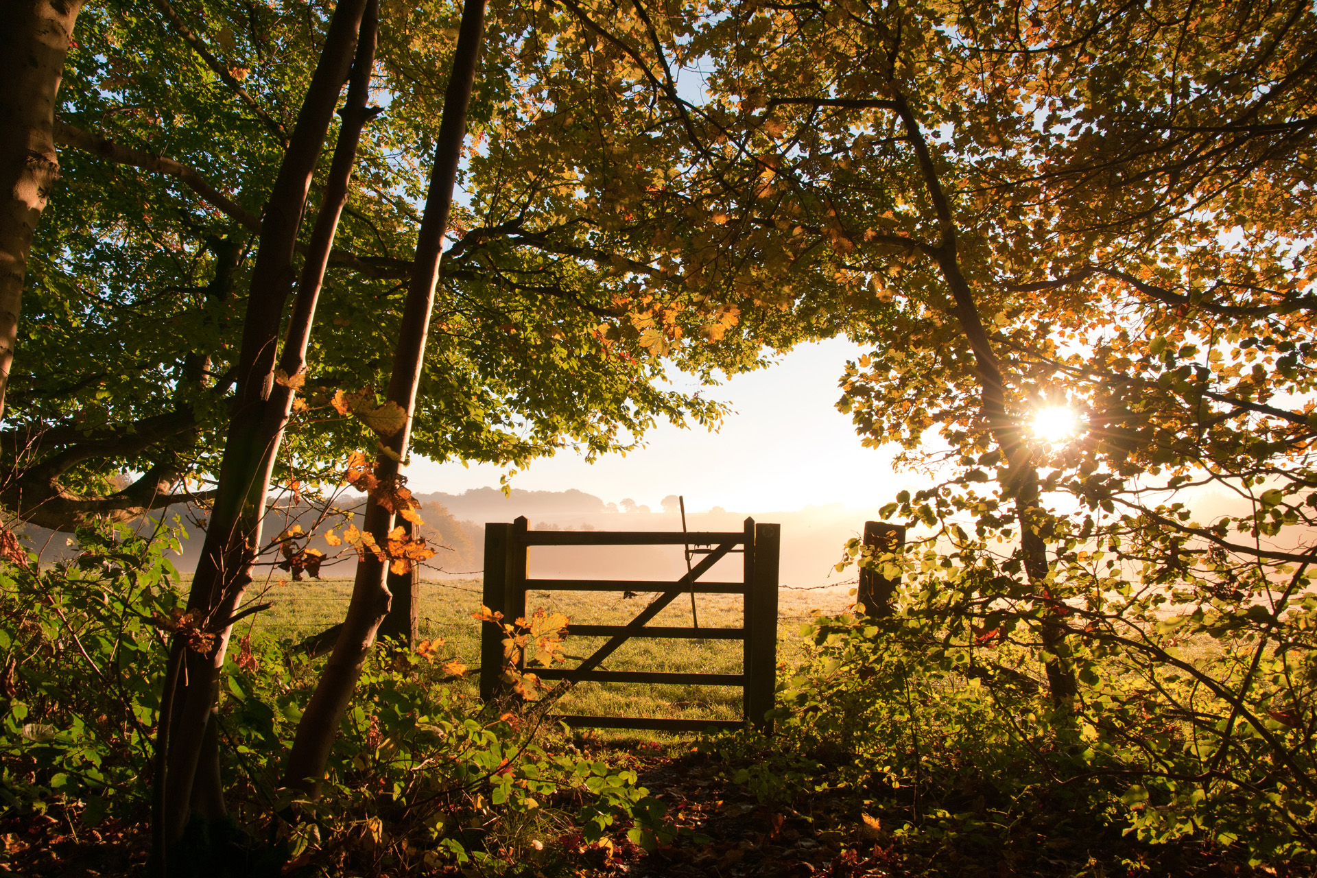 Entrance to Farm gate in the English countryside.