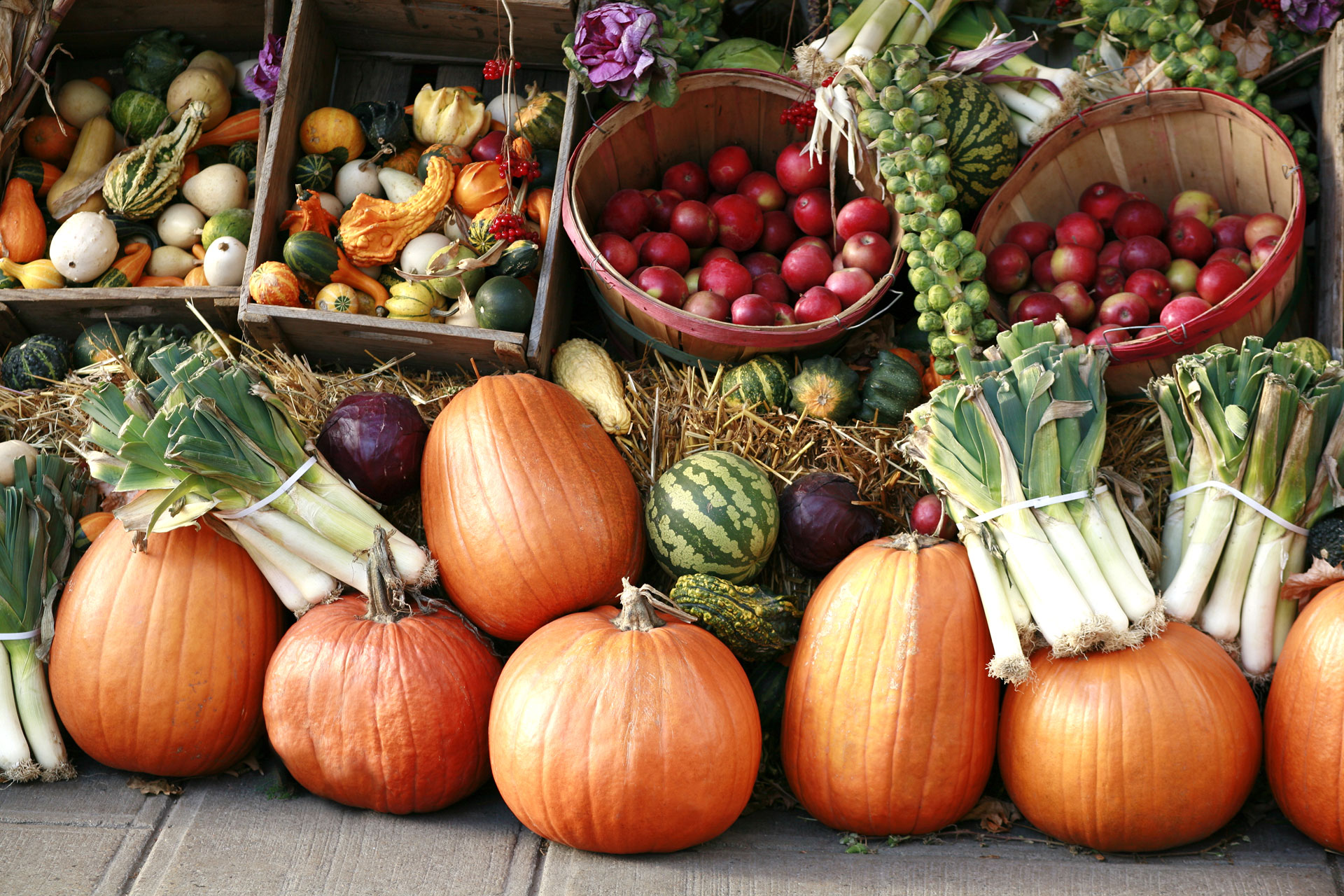 Pumpkins and vegetables at a farm shop