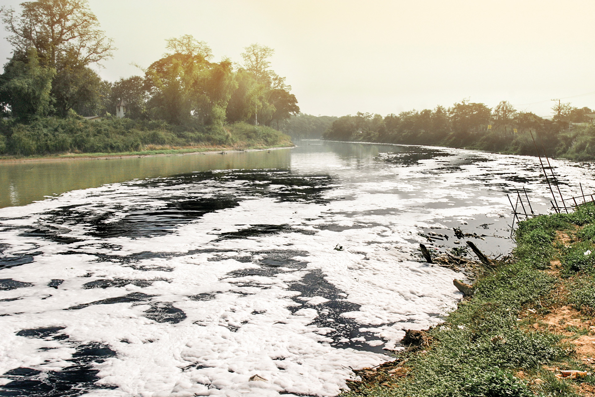 Water pollution in a river