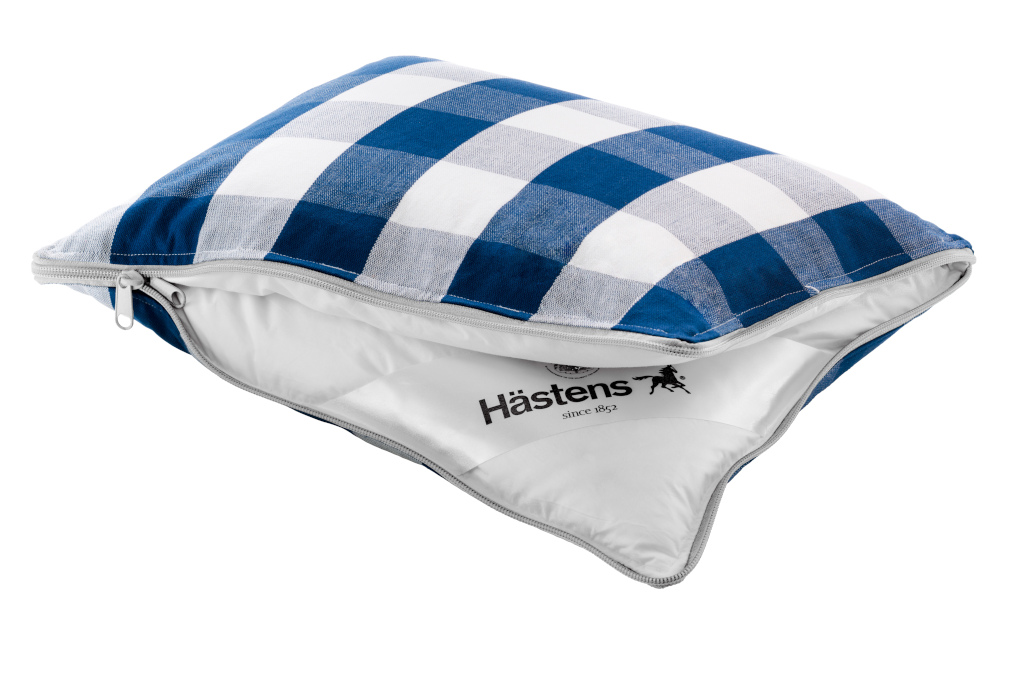 Blue check zip-up pillow