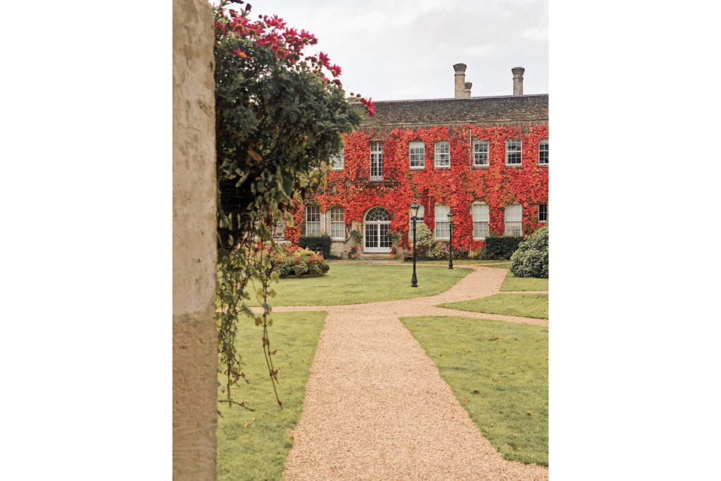 Lucknam Park, autumn
