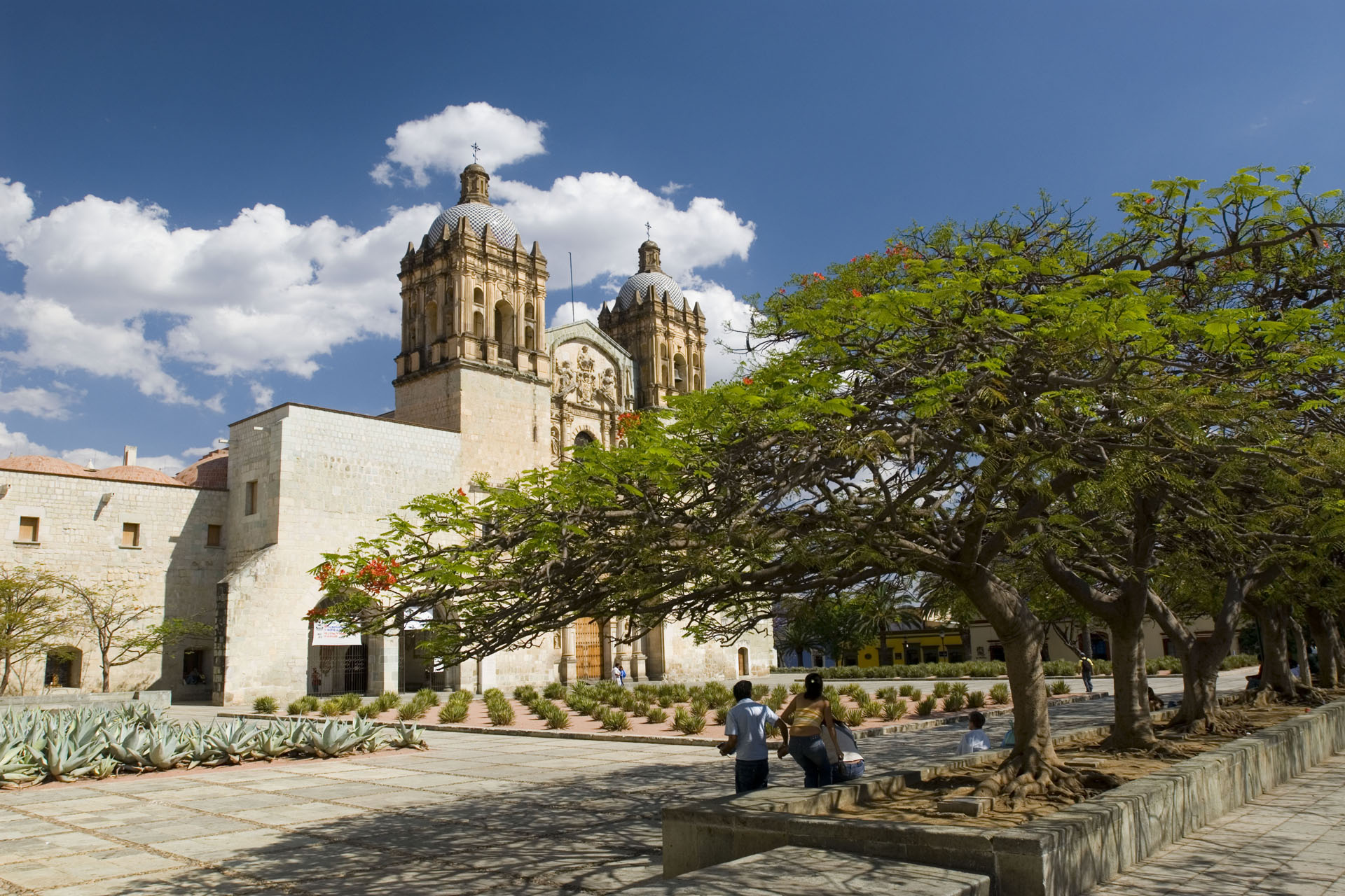 The Museum of Cultures of Oaxaca against a blue sky with a tree infront