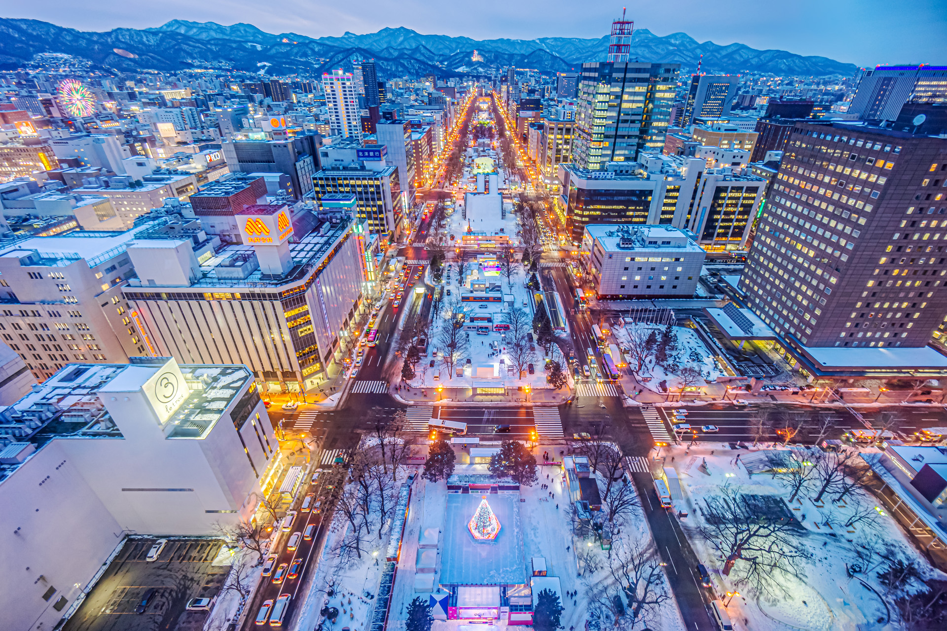 The park serves as the main site of the Sapporo Snow Festival in winter