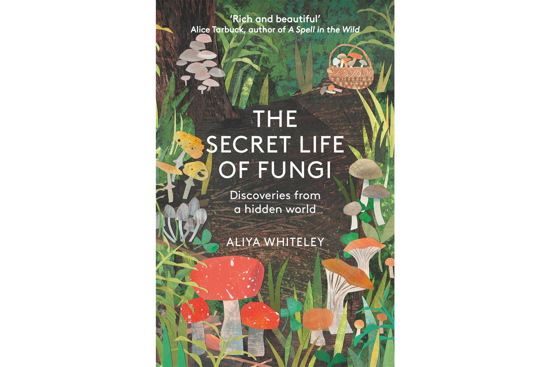 The Secret Life of Fungi