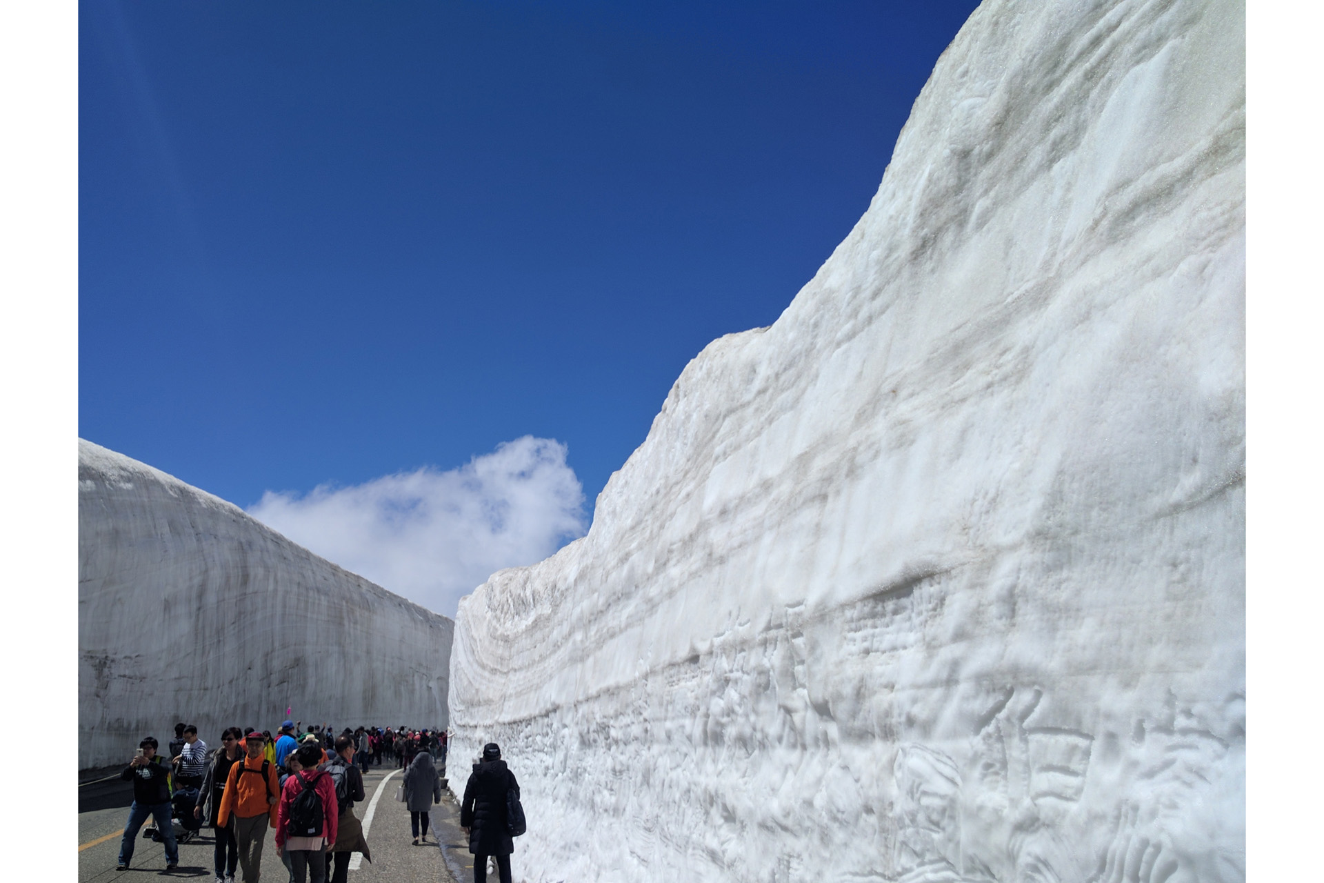 Tateyama Snow Wall