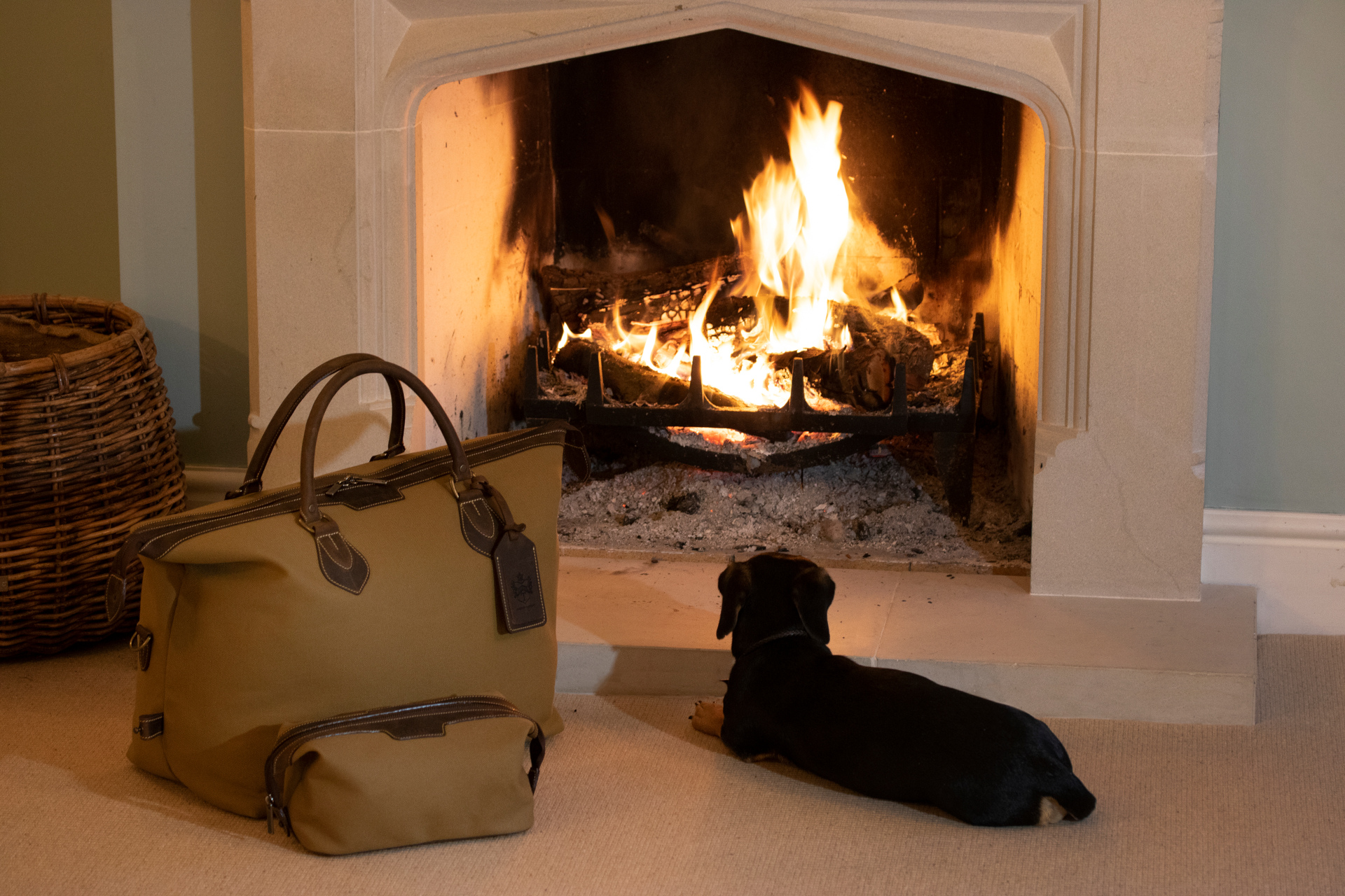 Tog sat by fireplace next to travel bags