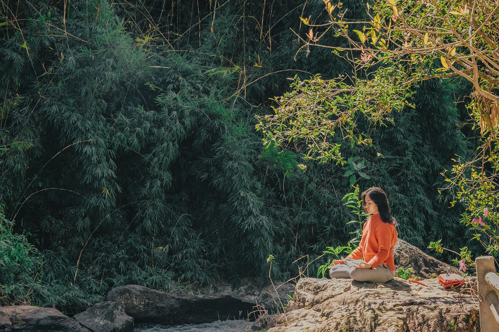 a woman meditating on a rock surrounded by trees
