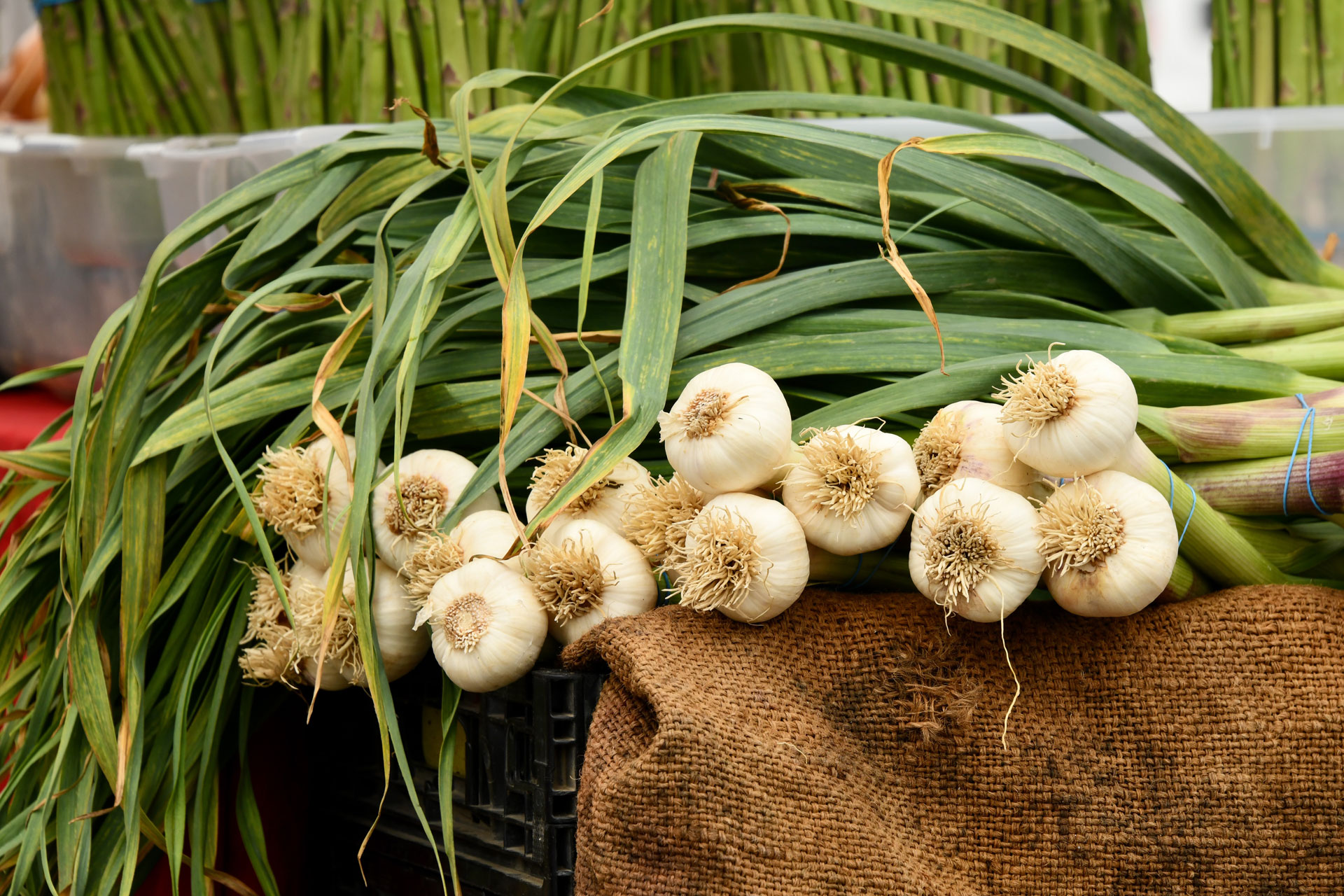 Ingredient of the Week: Garlic