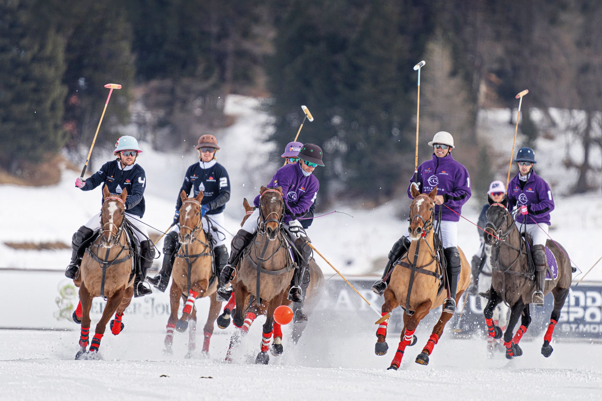 six polo ponies with riders on ice