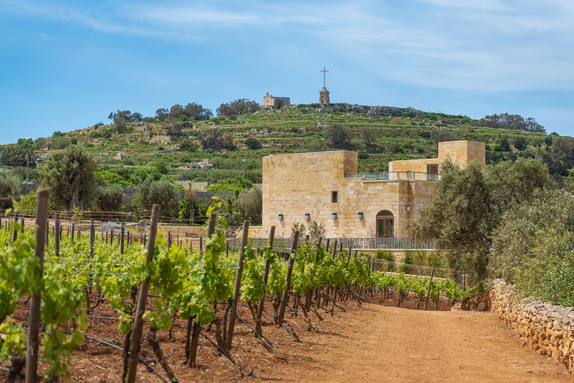 Ta' Betta Wine Estates in Malta