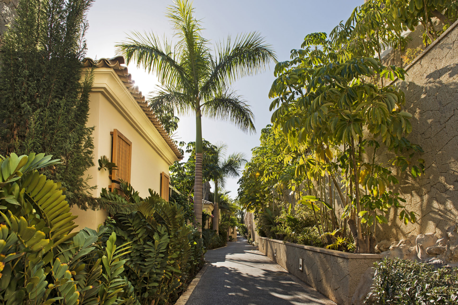 a path through buildings and palm trees
