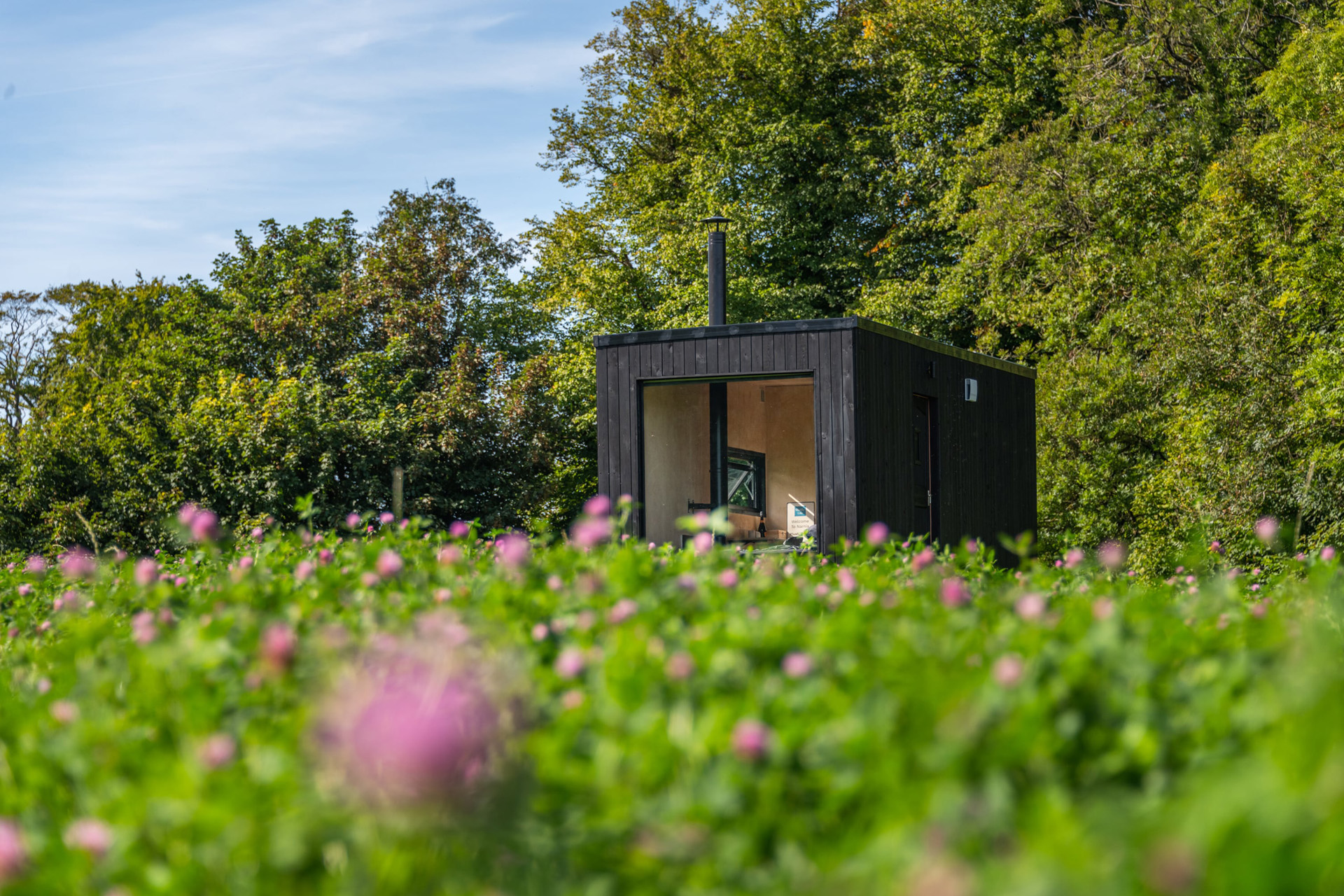 a tiny off-grid cabin in Dorset