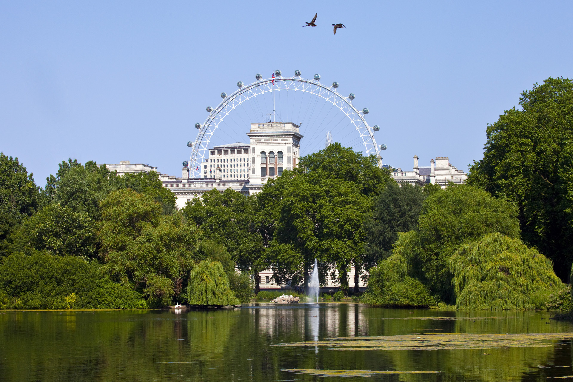 Merlin Entertainments London Eye turns Green for 'Green Friday