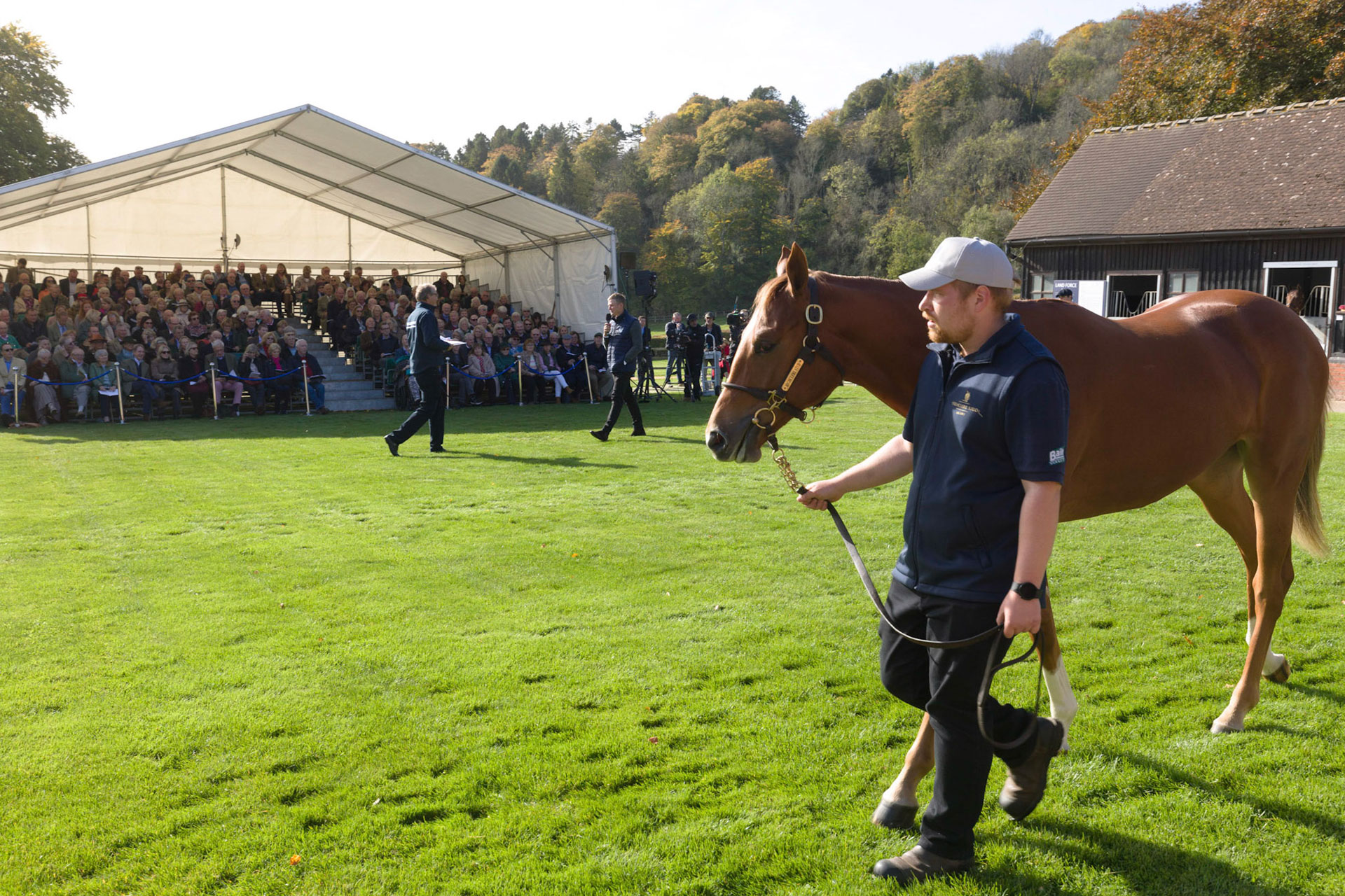 Highclere Yearling Parade