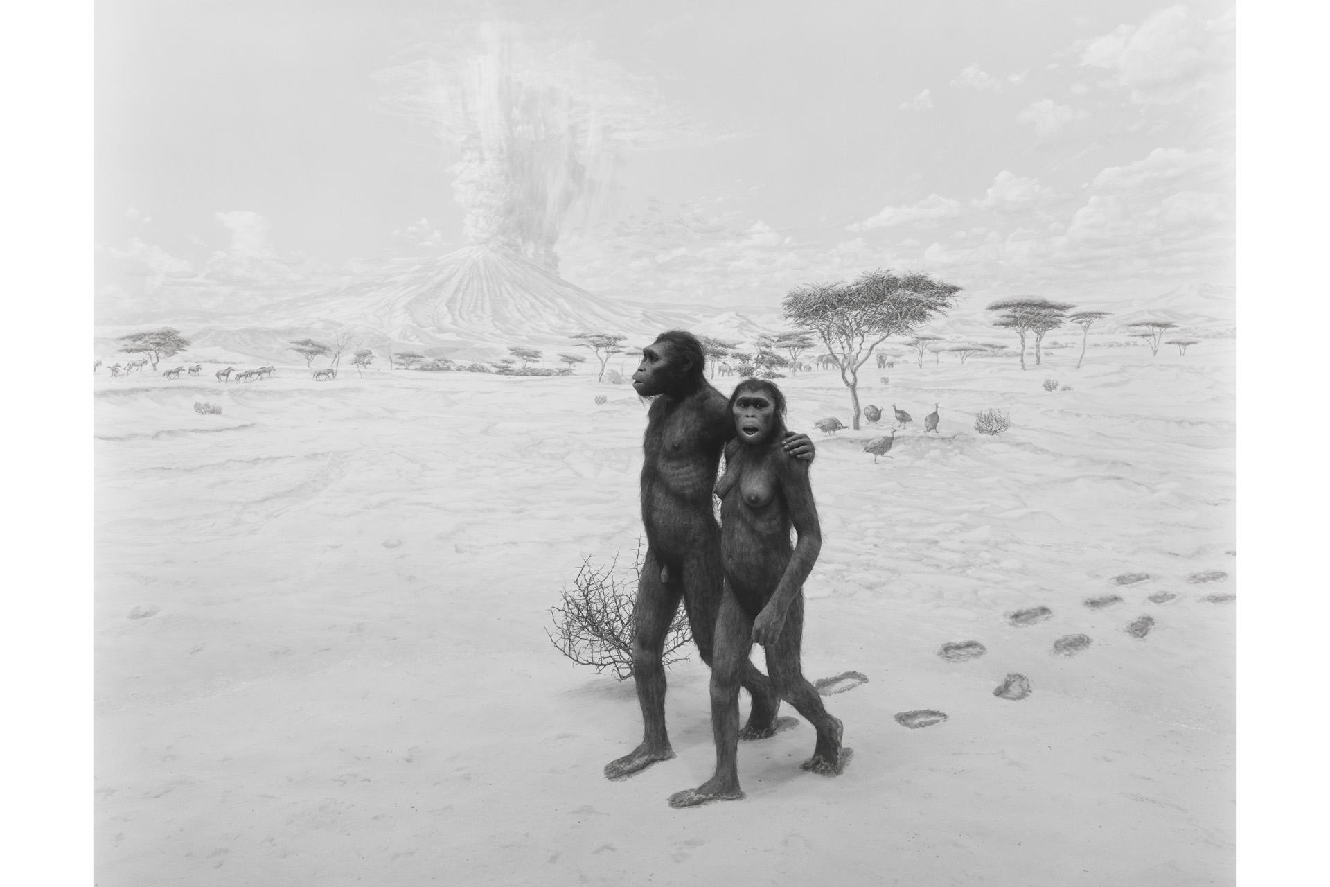 Hiroshi Sugimoto, Earliest Human Relatives