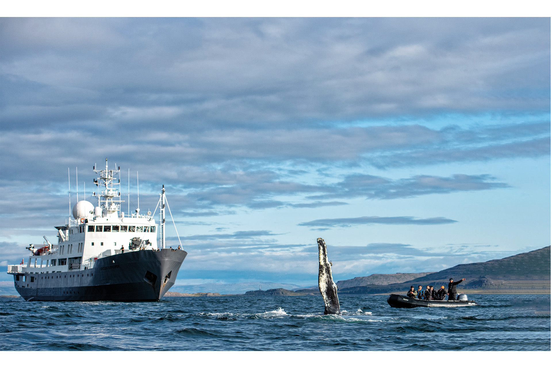 a large boat, a whale and a smaller whalespotting boat on the sea