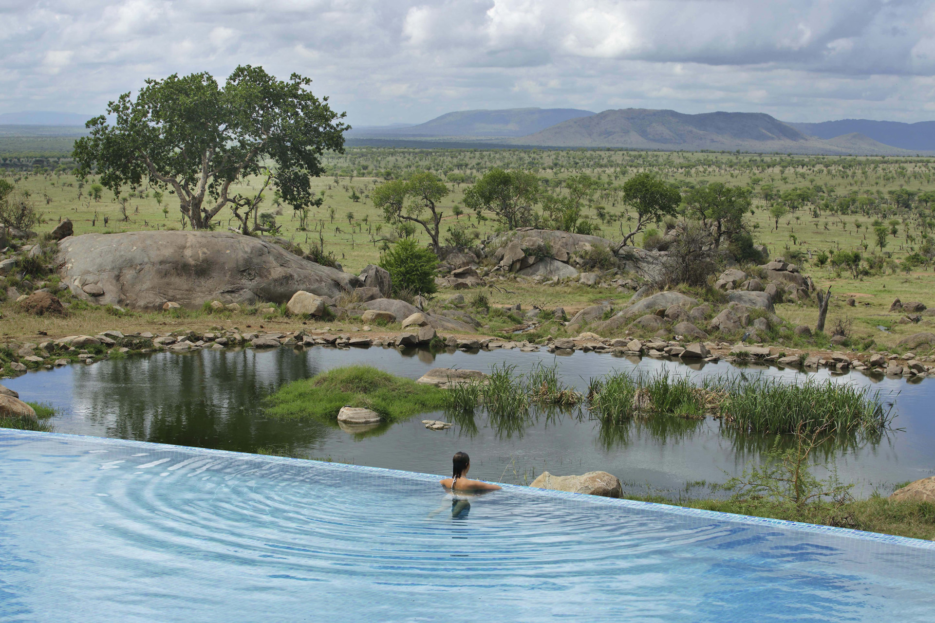 an infinity pool with savannah views