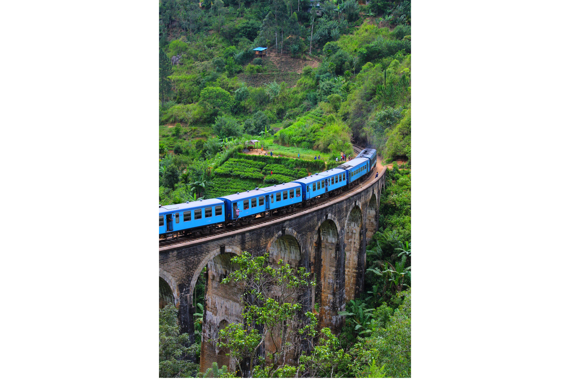 a blue train on the nine arch bridge in Sri Lanka