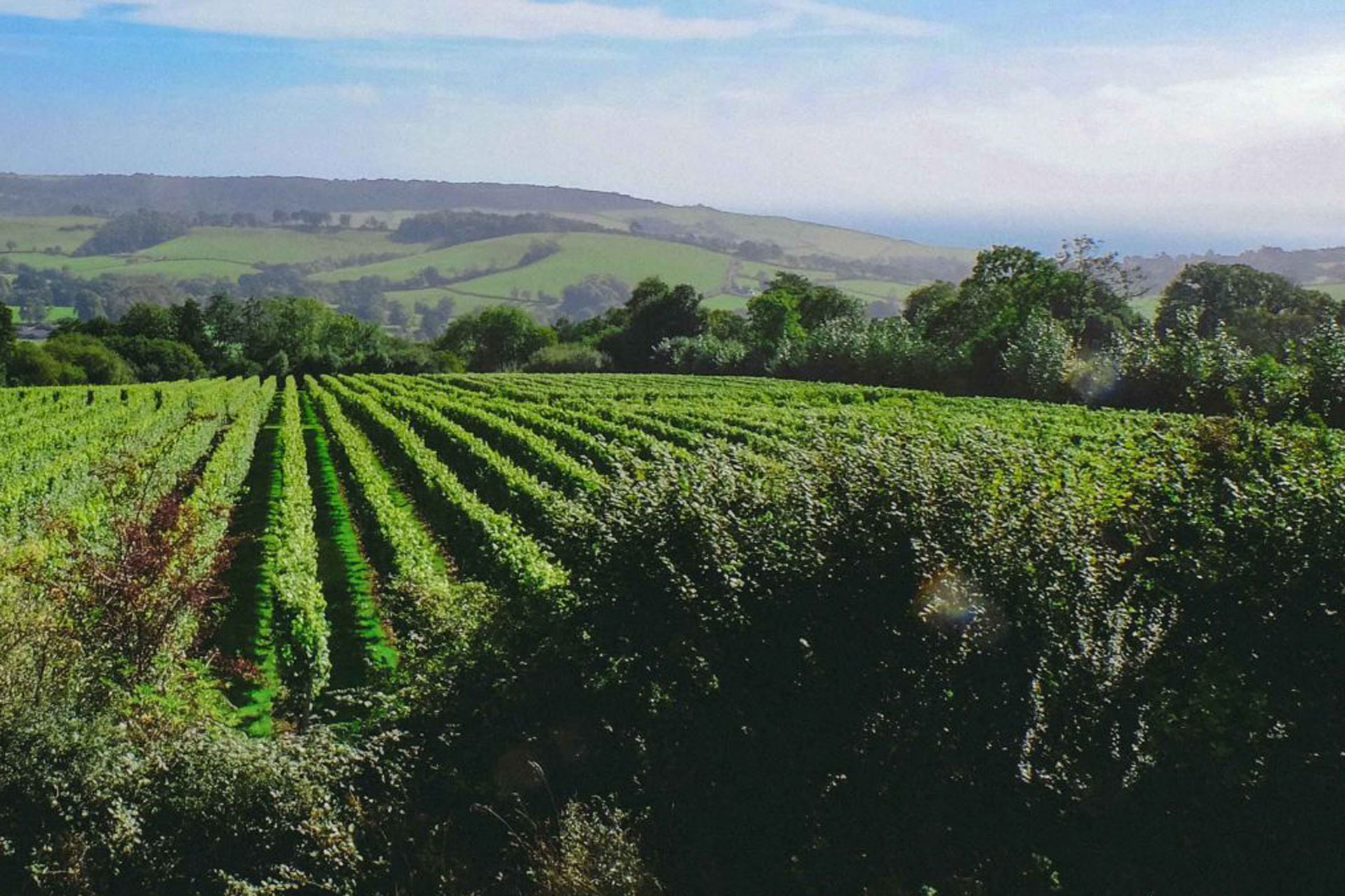 Furleigh estate harvest buesnel