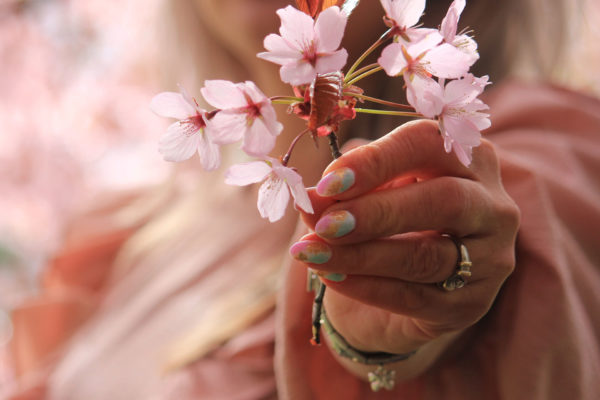 Hand holding a branch of flowers