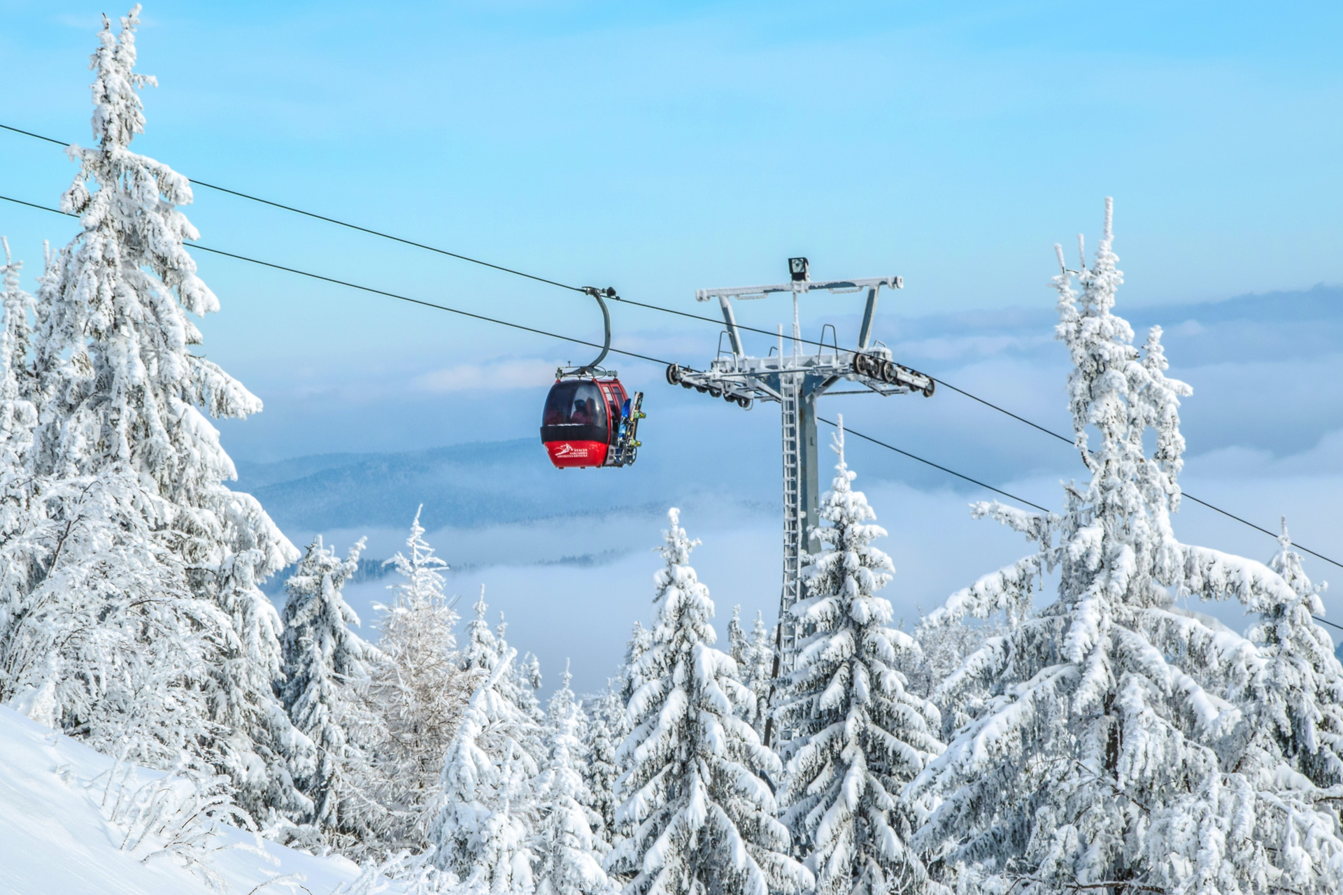 a cable car against a blue sky above snowy pine trees