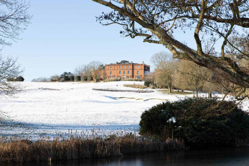 the grove in winter