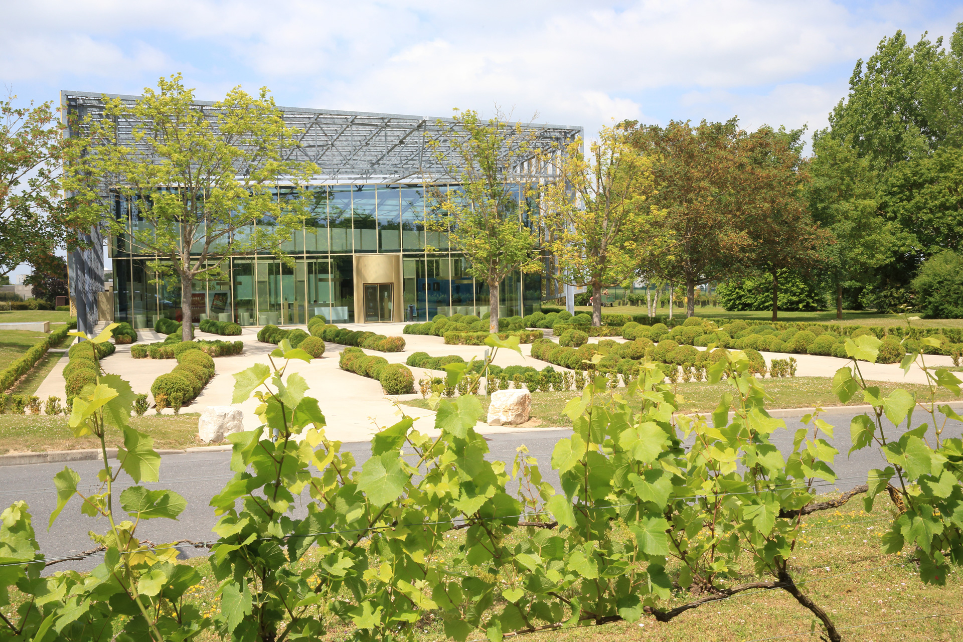 Piper Heidsieck winery