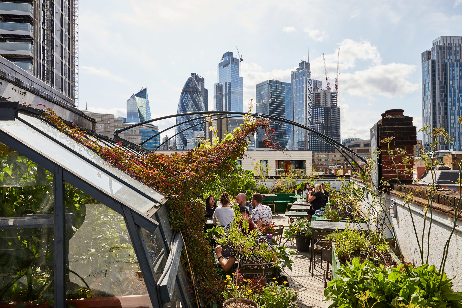 The Culpeper rooftop