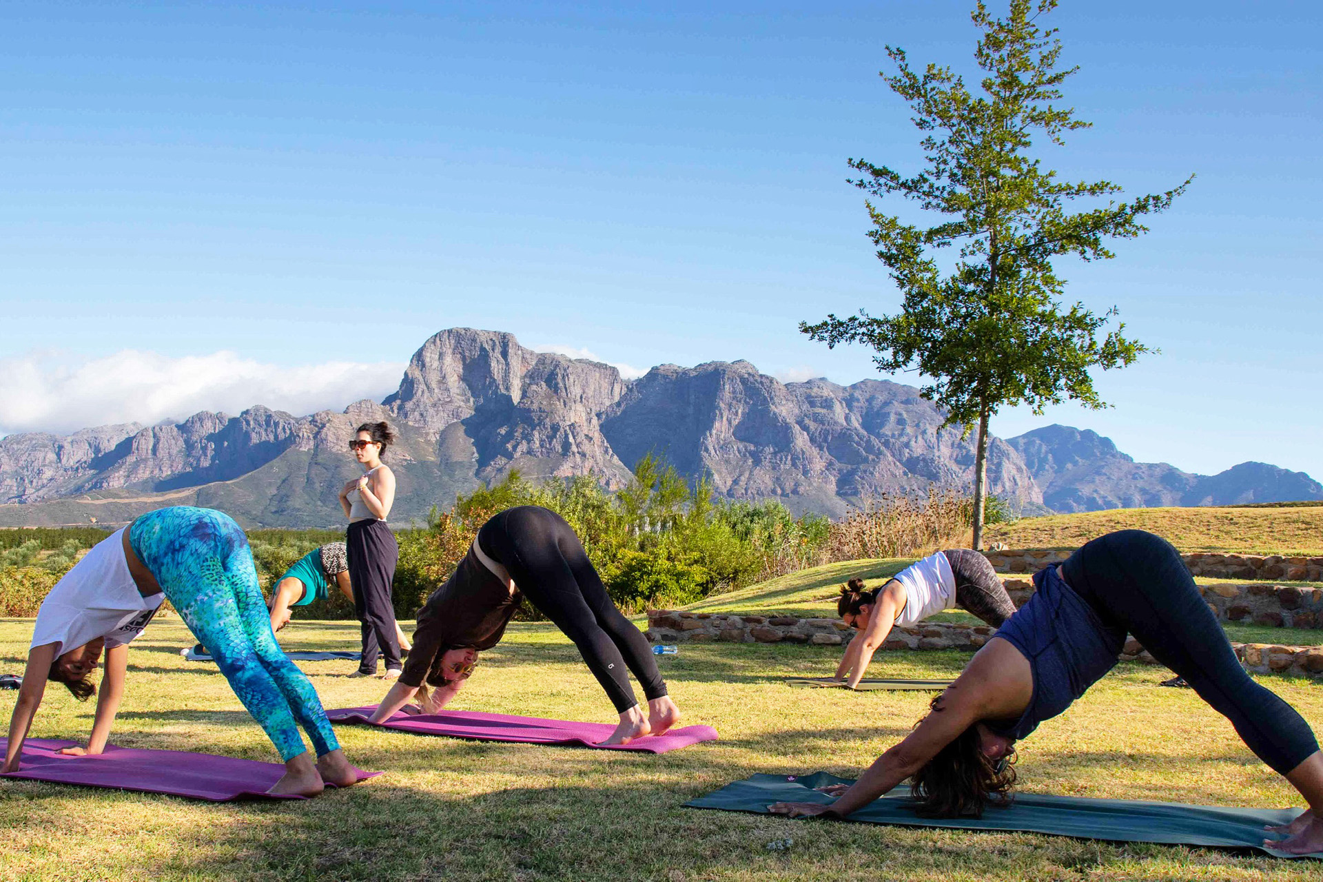 people doing yoga in cape town