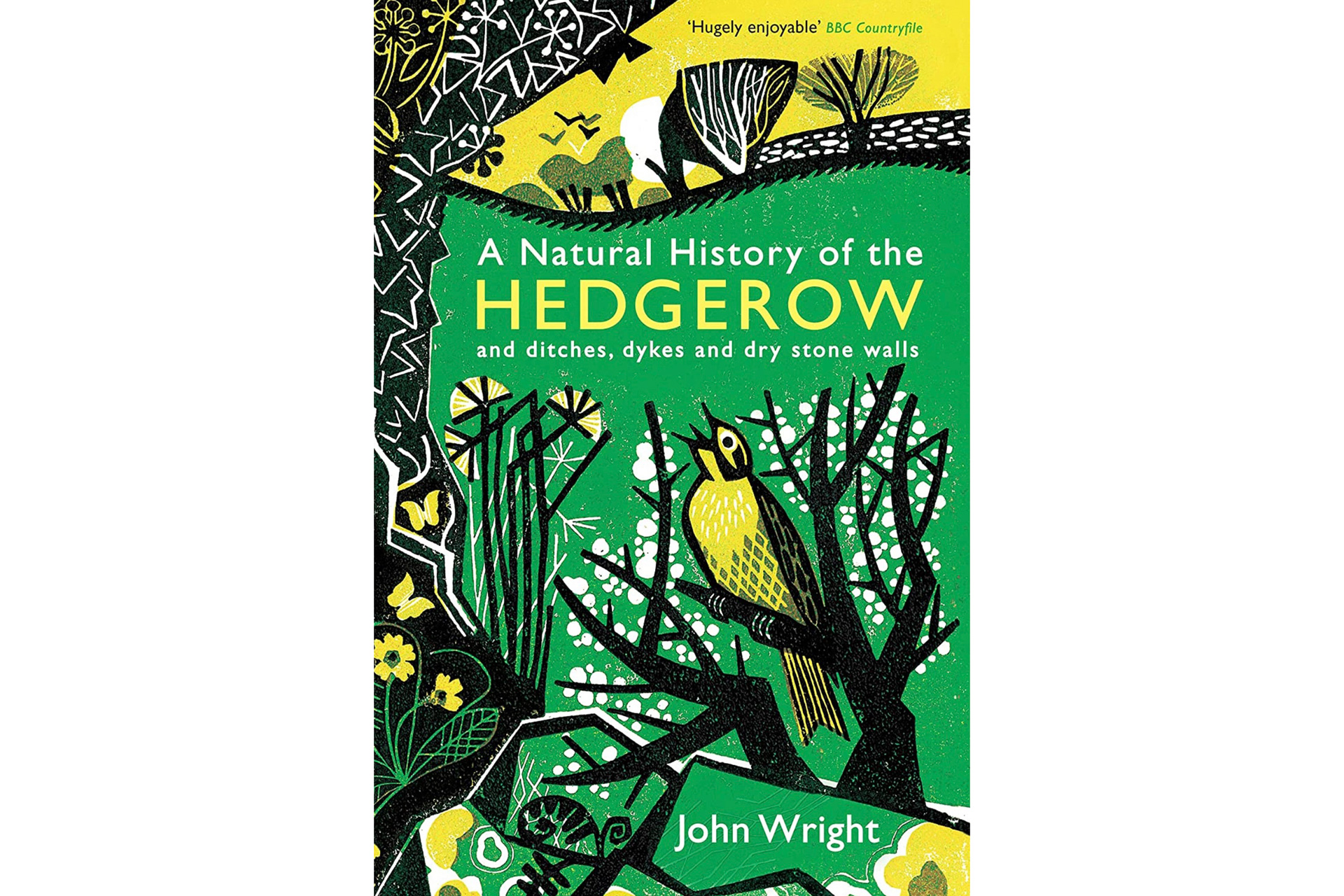 A Natural History of the Hedgerow: and ditches, dykes and dry stone walls by John Wright
