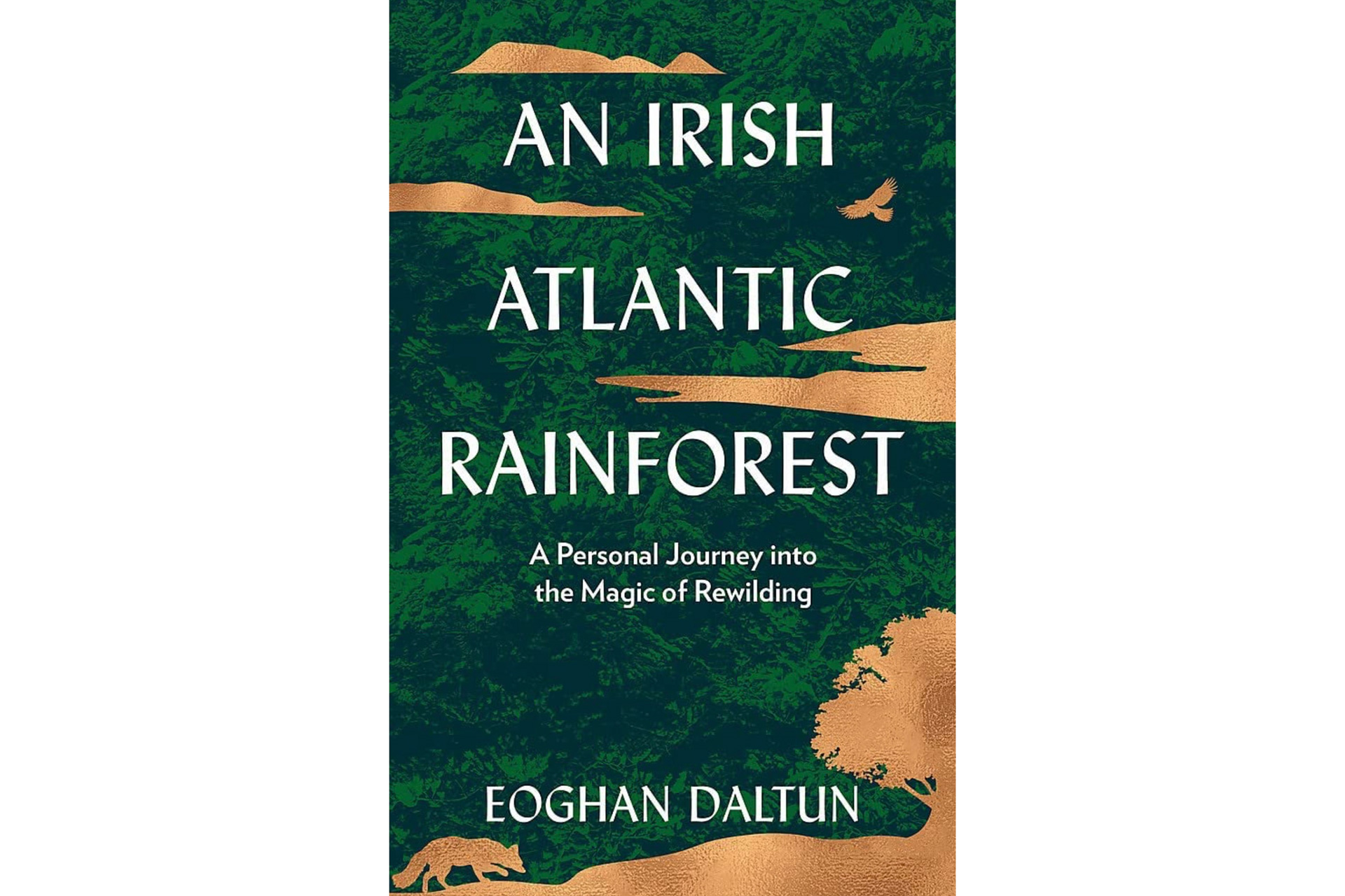 An Irish Atlantic Rainforest: A Personal Journey into the Magic of Rewilding by Eoghan Dalton