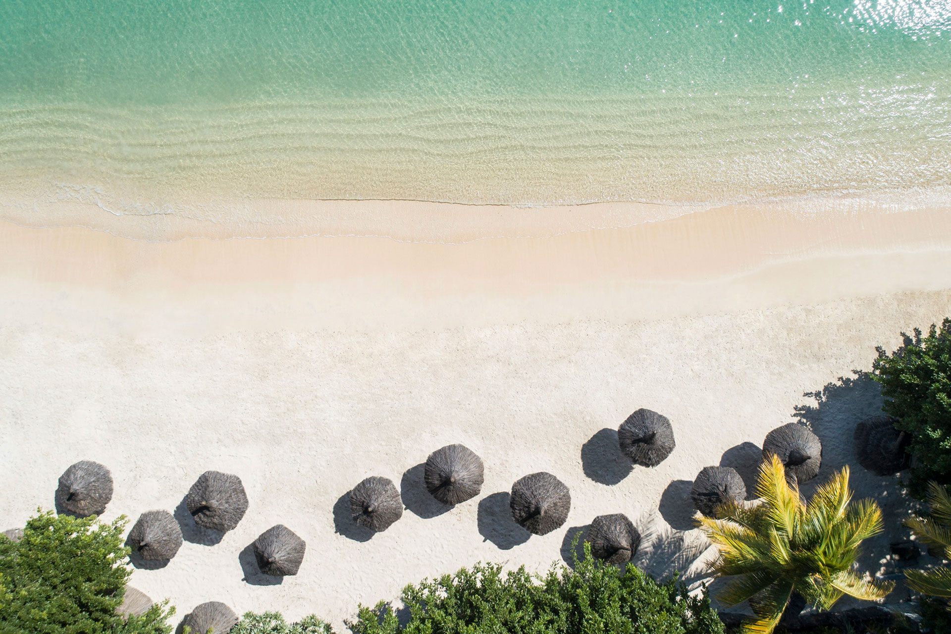 beach front with black umbrellas 