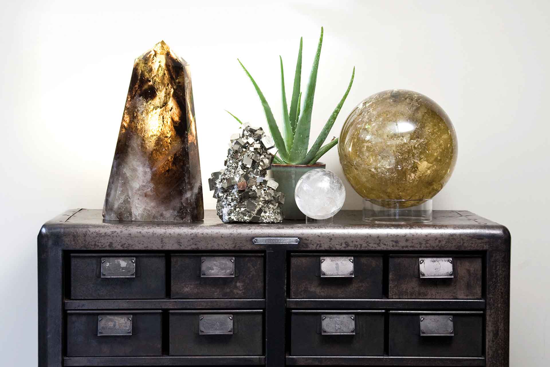 Dale Rogers Ammonite: World Leaders In Rare Fossils & Exquisite Crystals