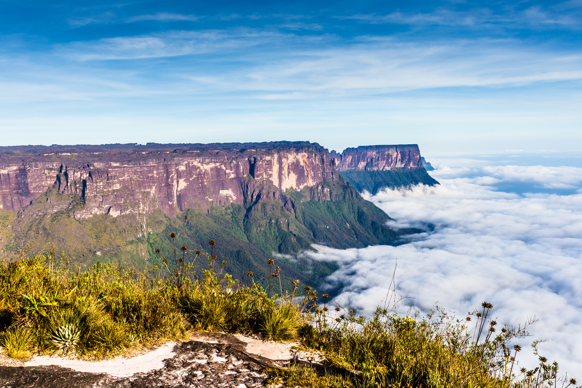 View from the Roraima tepui on Kukenan tepui at the fog - Venezuela, Latin America