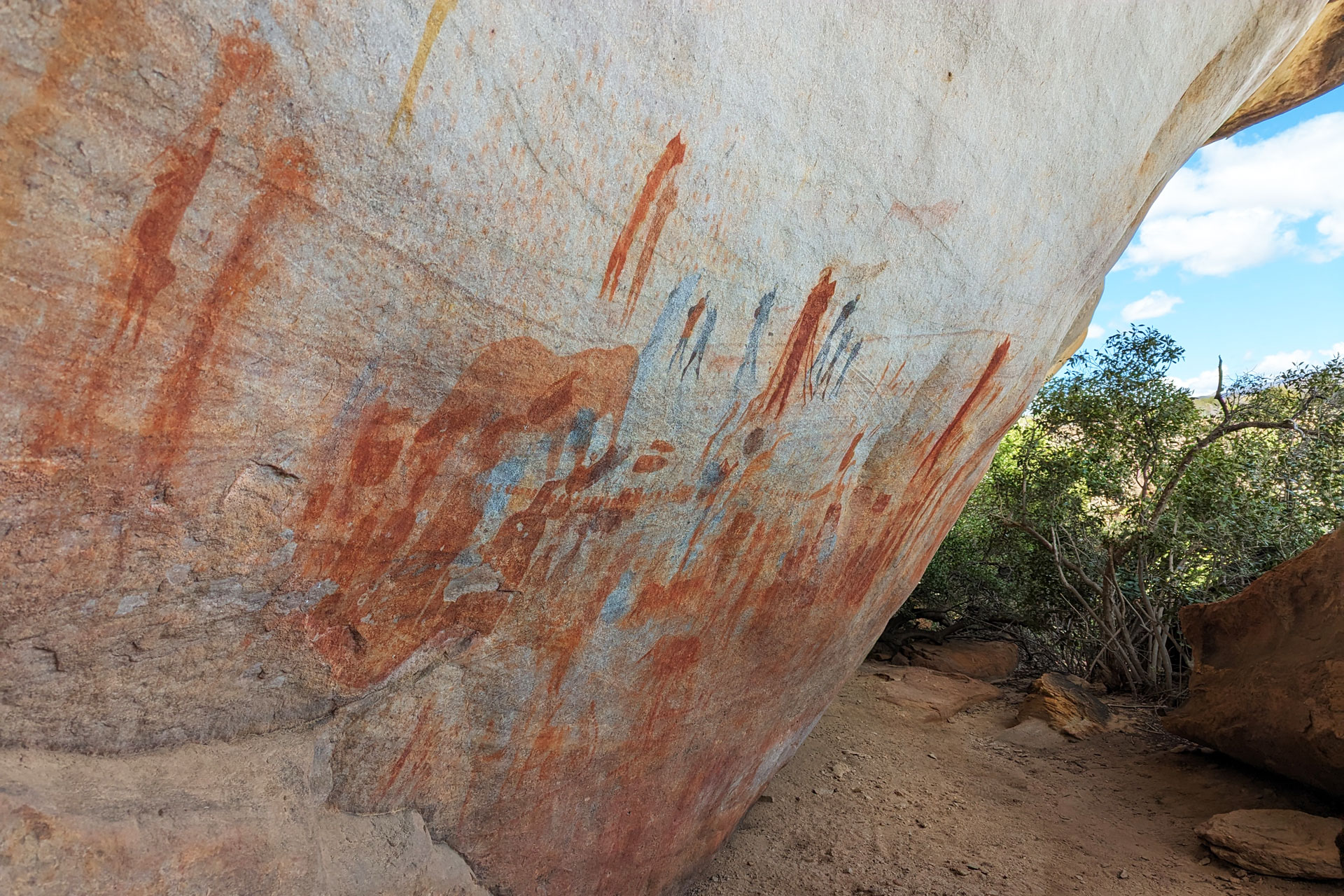 Ancient rock art at Bushmans Kloof