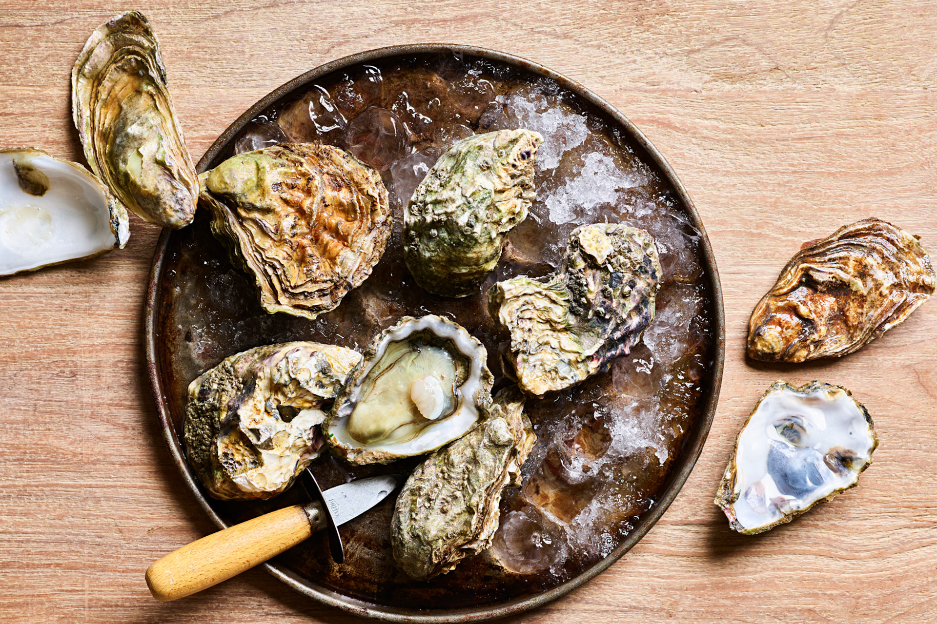 Oysters at CAVO restaurant London
