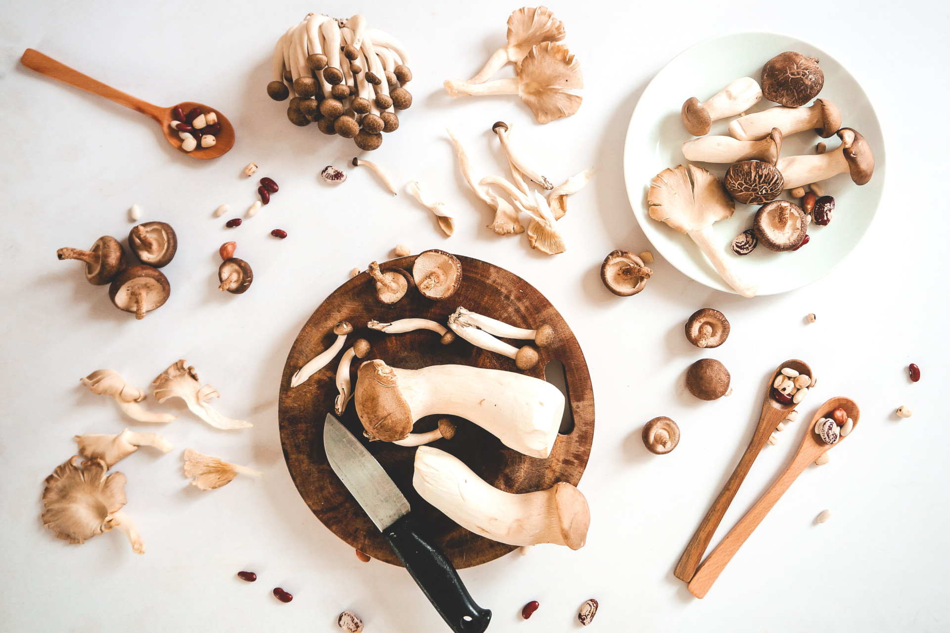 Mushrooms laid out on table