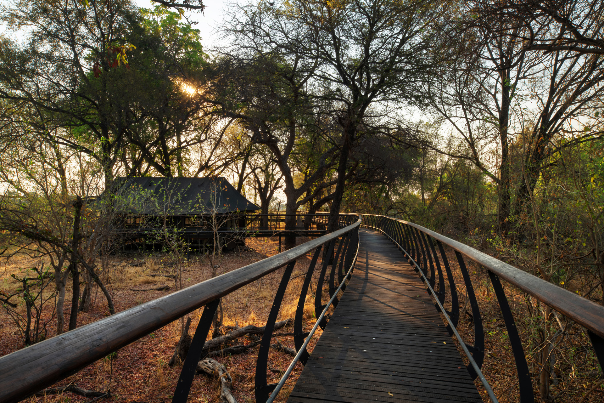 A path flanked by trees at Wilderness Chitabe