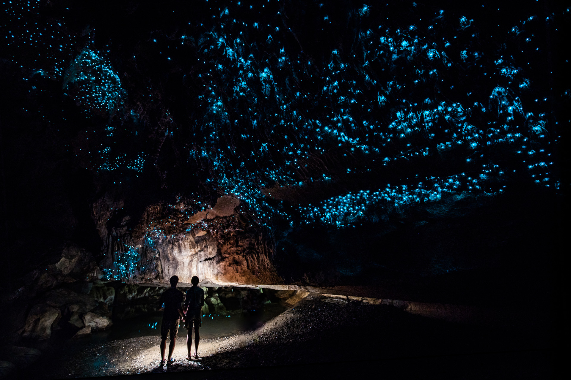 Glowworm Cathedral at the end of Waipu Cave in New Zealand