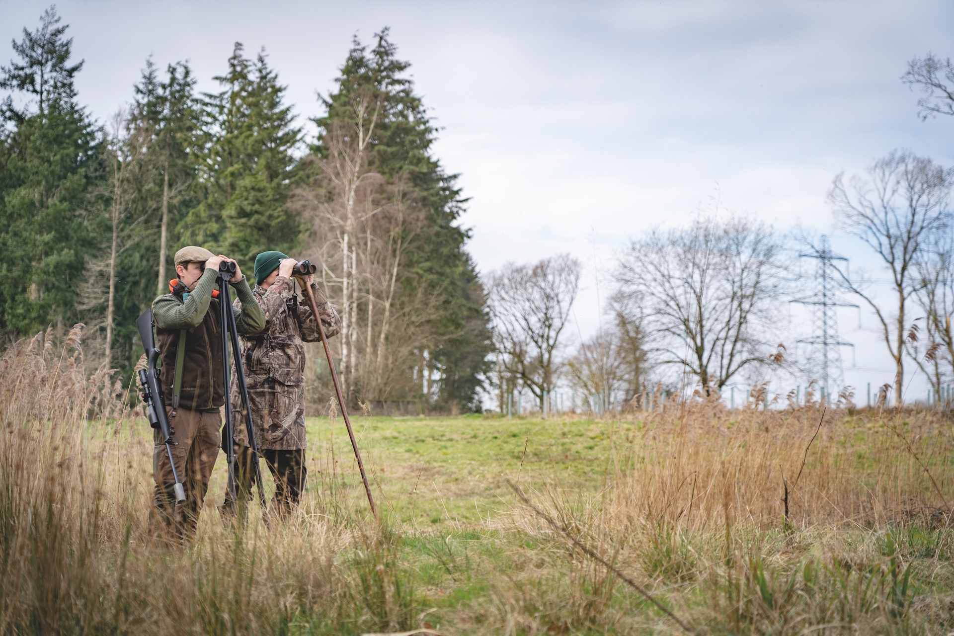 deer stalking wild venison